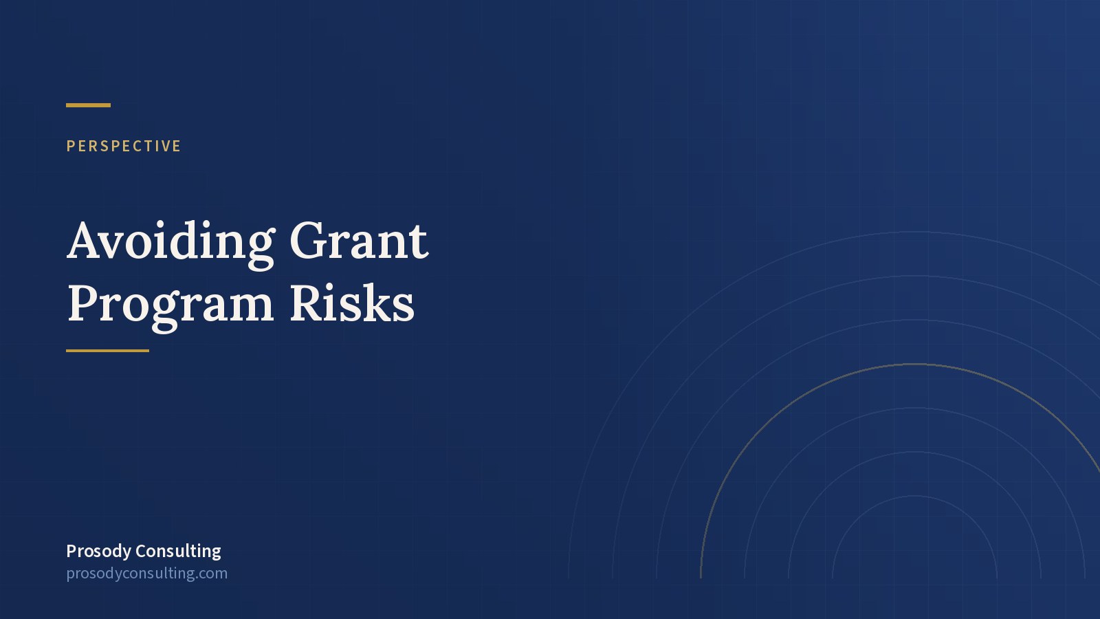 There's No There There: Avoiding Government Finance Program Risks — Prosody Consulting case study