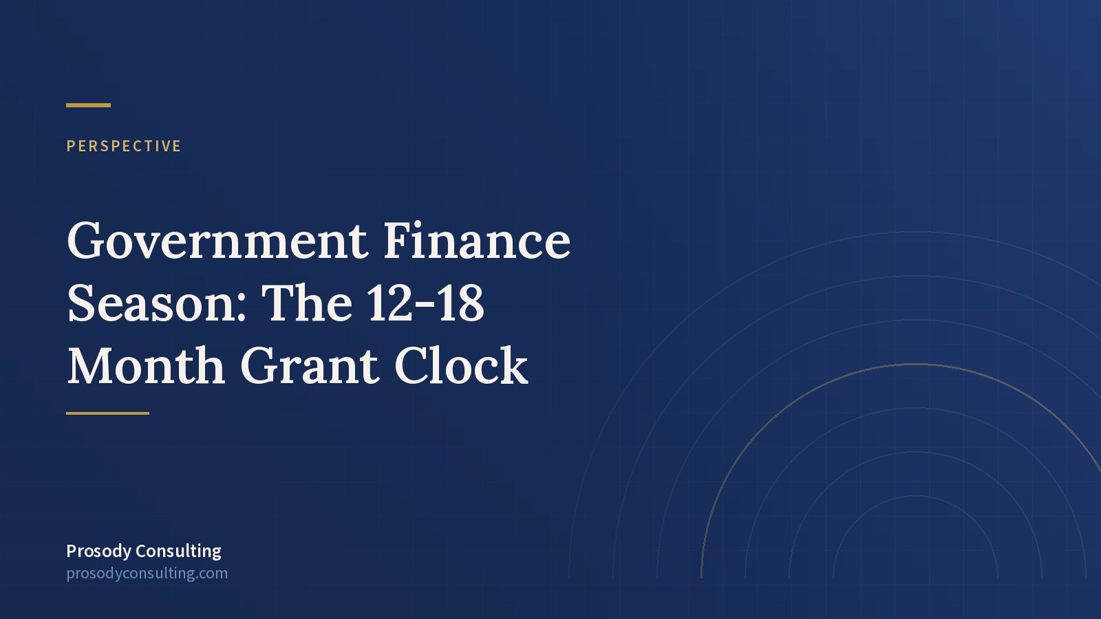 It's Always Government Finance Season — Prosody Consulting case study